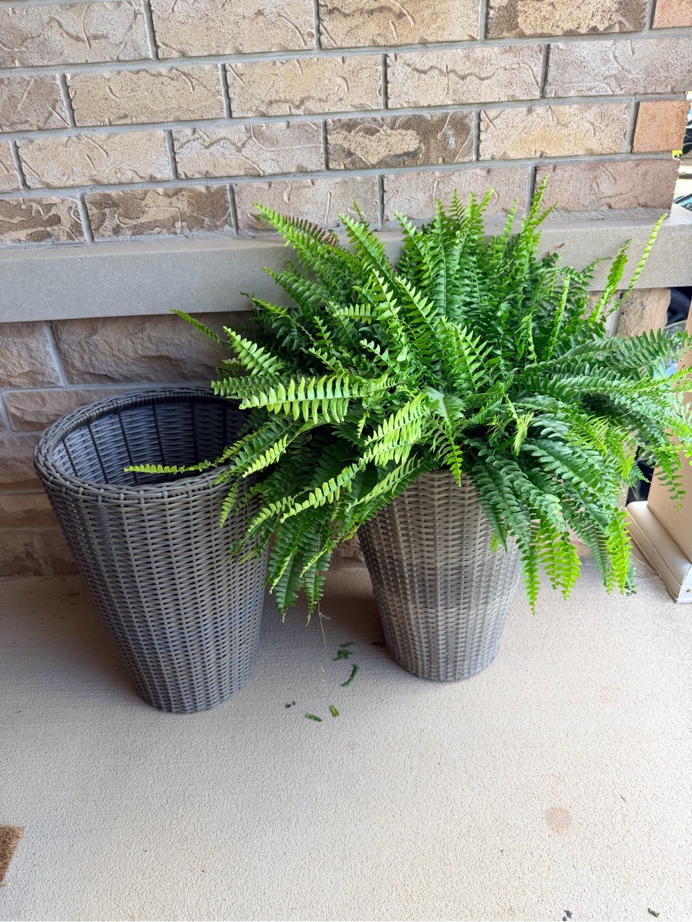 Wicker Outdoor Tall Planters 22”Tall X 2 Set Excellent Condition